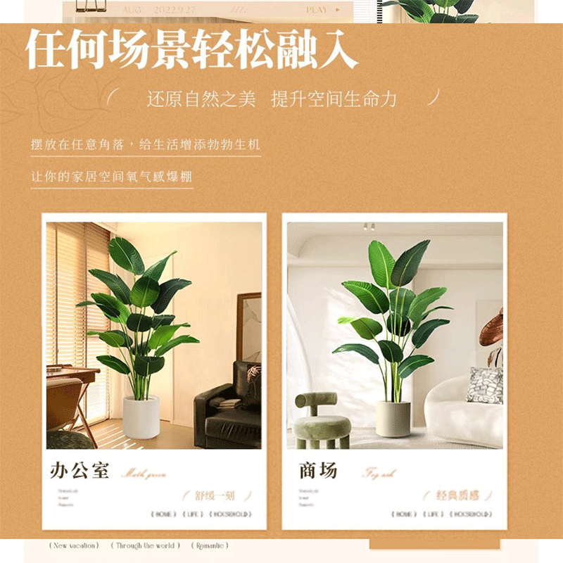 豫众诺仿真绿植 特 级款 套图片