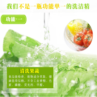 逸乐舒 泡飘乐 进口餐具水果蔬菜清洗剂 无荧光剂芦荟洗洁精1kg 2瓶组合 单套价