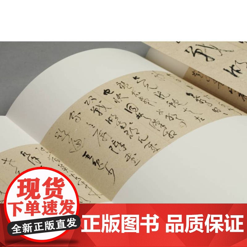 旷代双清于右任林散之书法艺术 陆衡范樵父近现代草圣历史贡献草书经历学问思想情怀品格造诣和精神学术研究价值 上海书画出版社高清大图