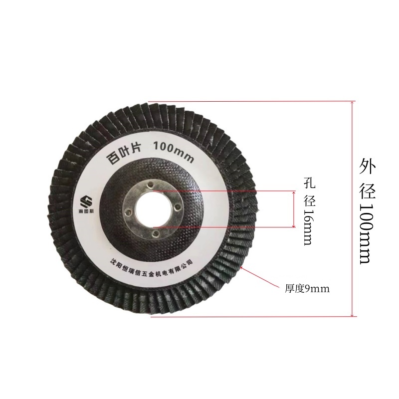瀚图斯砂轮 百叶片 外径100mm 内孔16mm高清大图