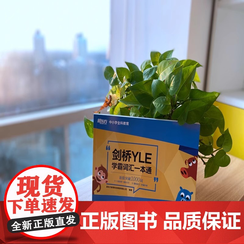 剑桥YLE学霸词汇一本通 剑桥少儿英语考试备考资料 大纲词汇分类记忆 幼小衔接小学英语书籍课堂用书 正版书籍高清大图
