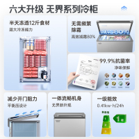 澳柯玛(AUCMA) 100升家用卧式冷柜冰柜小冰箱 阻霜减霜 合金内胆 无界天际线 BC/BD-100HSNE