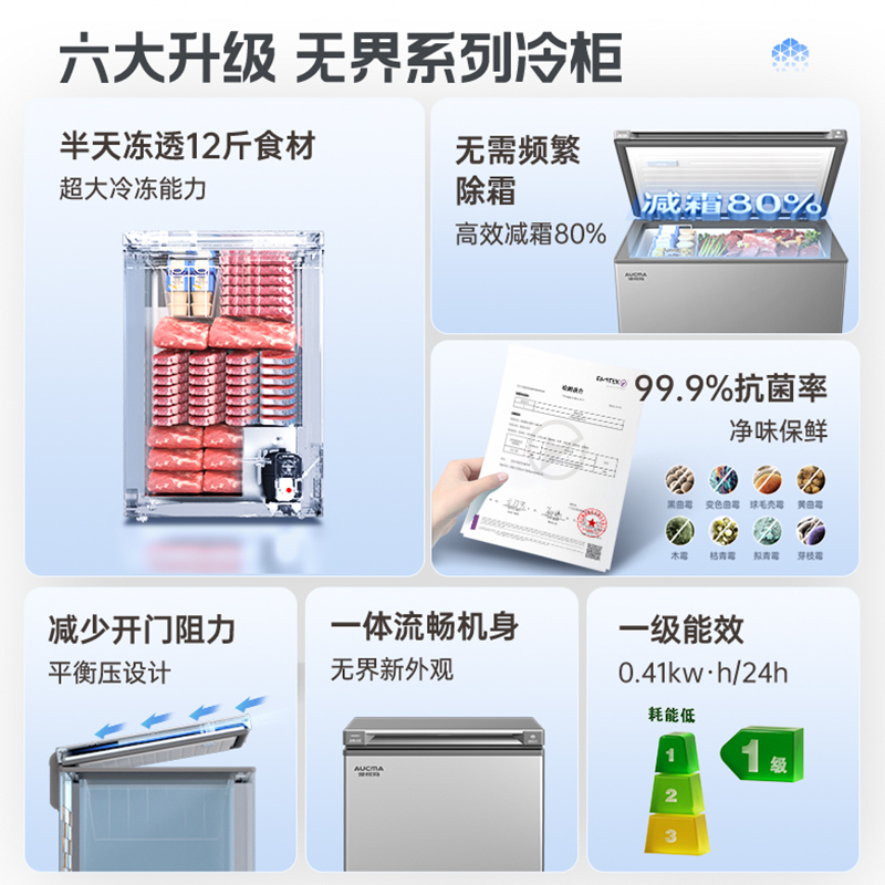 澳柯玛(AUCMA) 100升家用卧式冷柜冰柜小冰箱 阻霜减霜 合金内胆 无界天际线 BC/BD-100HSNE