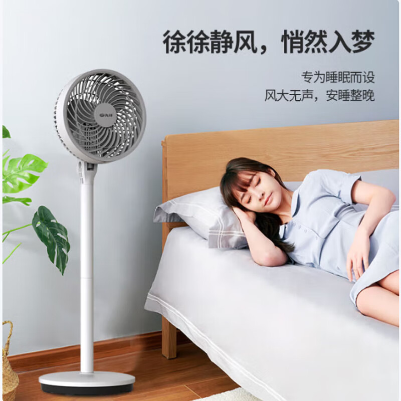 先锋(SINGFUN)家用大风量电风扇落地扇办公室遥控电扇空气循环扇 FC18-21DR高清大图