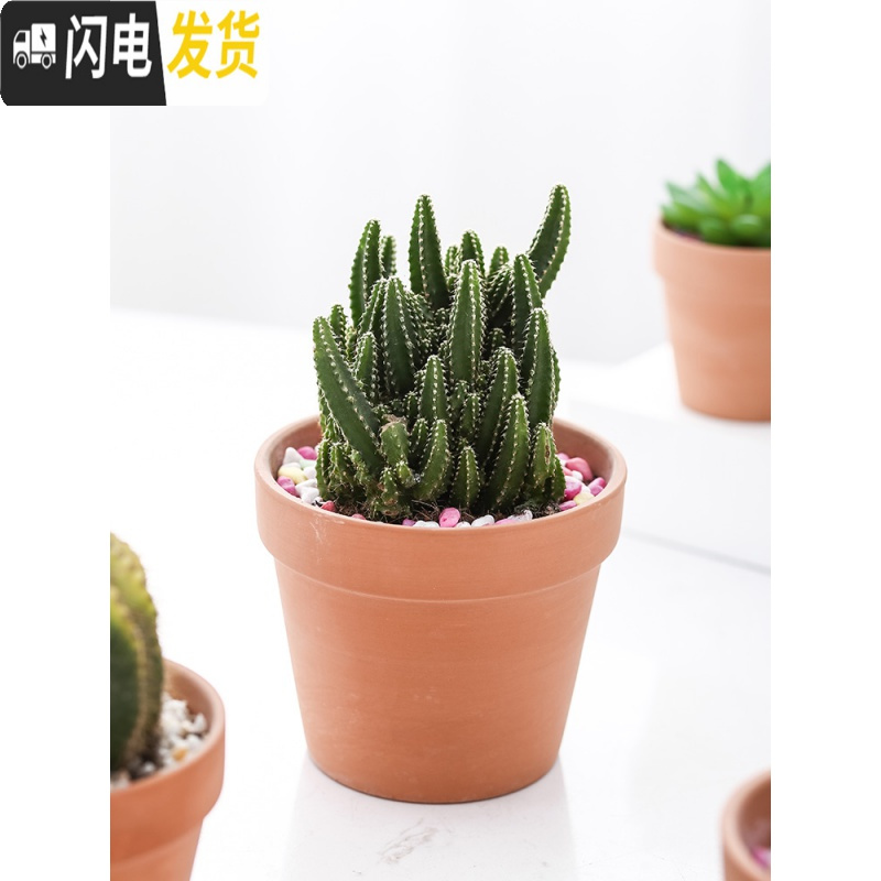 三维工匠红陶多肉小花盆育苗大号粗陶土陶瓷泥瓦盆矮盆大口径 A2款5.5*5cm()拍一发两个 中等花盆容器高清大图
