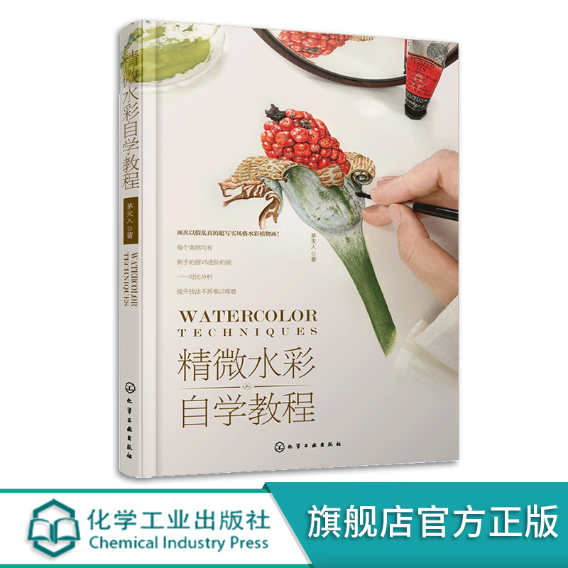[正版]赠线稿 精微水彩自学教程 水彩画精微水彩起稿上色步骤详解 水彩画技法进阶教程 茅夫人水彩绘画干货教程 零基础初高清大图