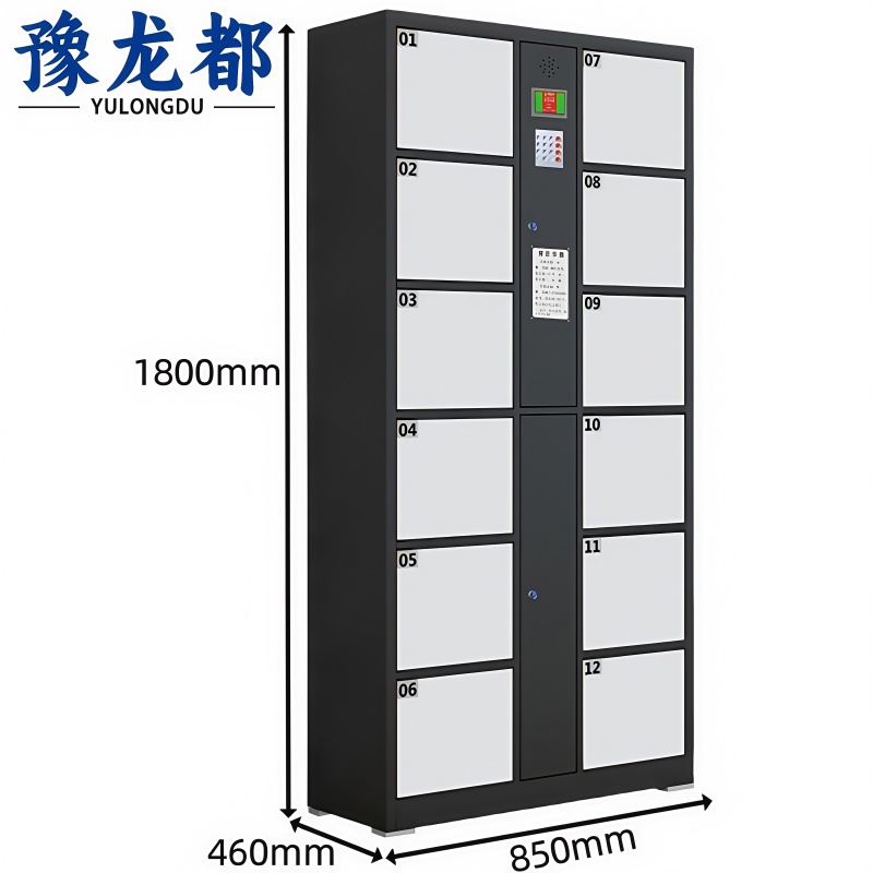 豫龙都 电子存包柜12门台