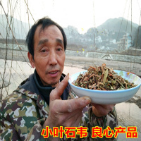 大别山野生 石苇 石韦 石伟 石兰 刀口药 野生货 切片干品500