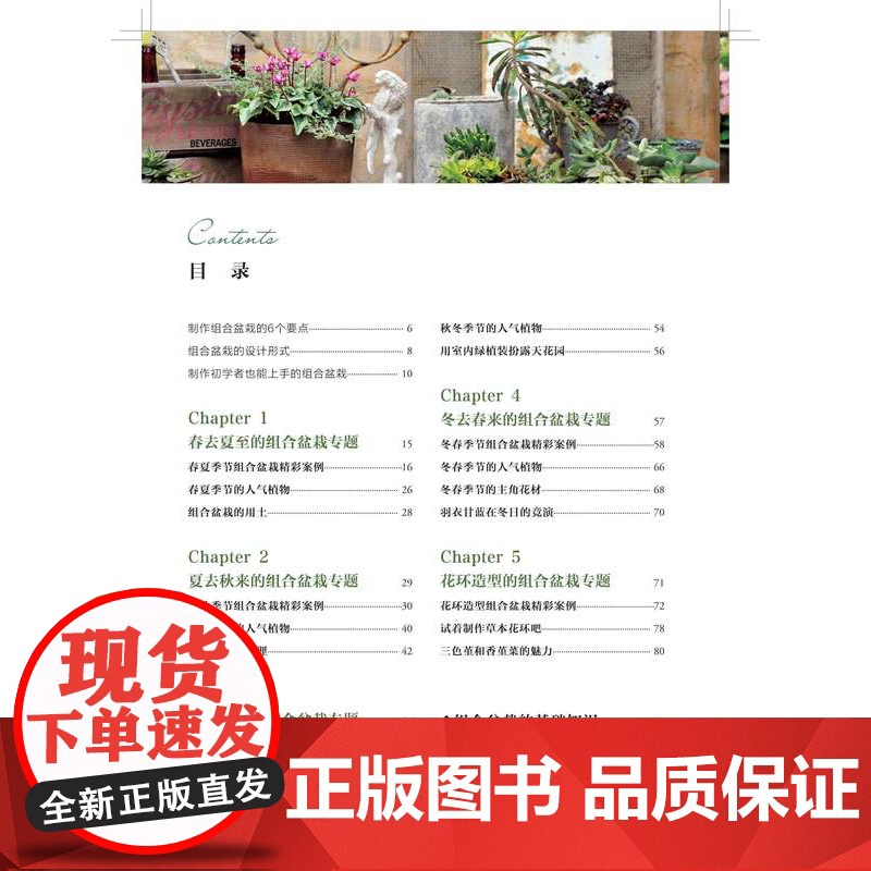 四季创意组合盆栽 绿手指 时令花材×搭配妙法打造浓缩四季之美的迷你花园 季节变化选配时令花材,将季相之美浓缩于小小盆高清大图