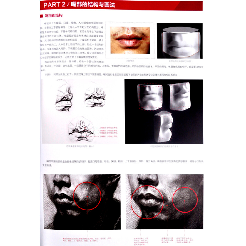 正版新书]成功系列高考丛书:人像素描唐宏伟 著9787562165088高清大图