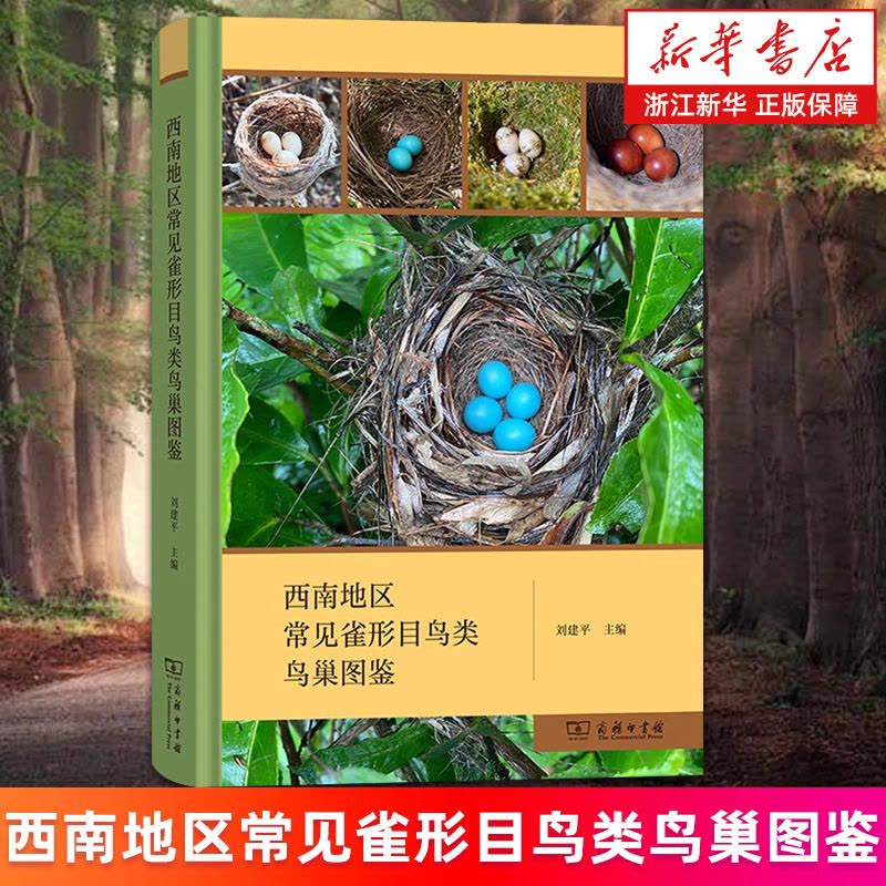 西南地区常见雀形目鸟类鸟巢图鉴 自然观察的实用指南图片