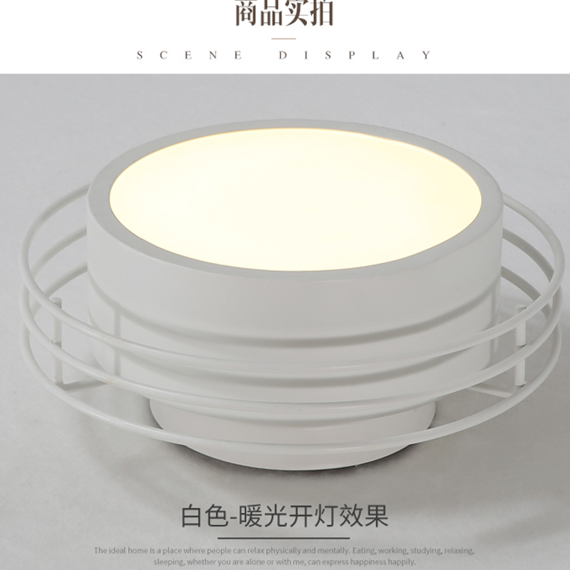 陇步昇SG-1861哑白吸顶灯