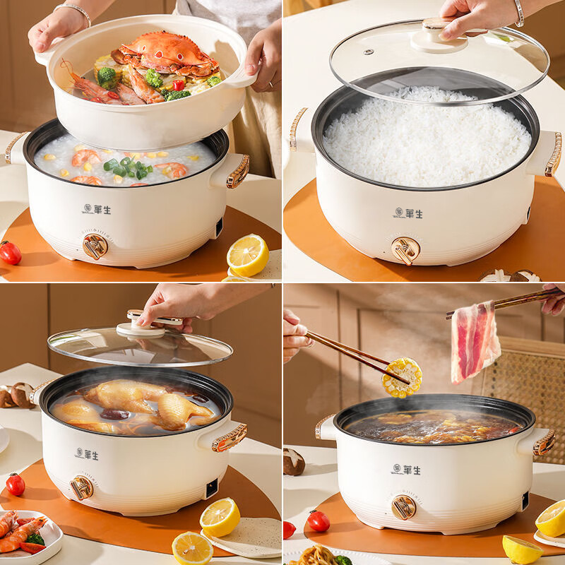 华生电火锅4L YHSR-12高清大图