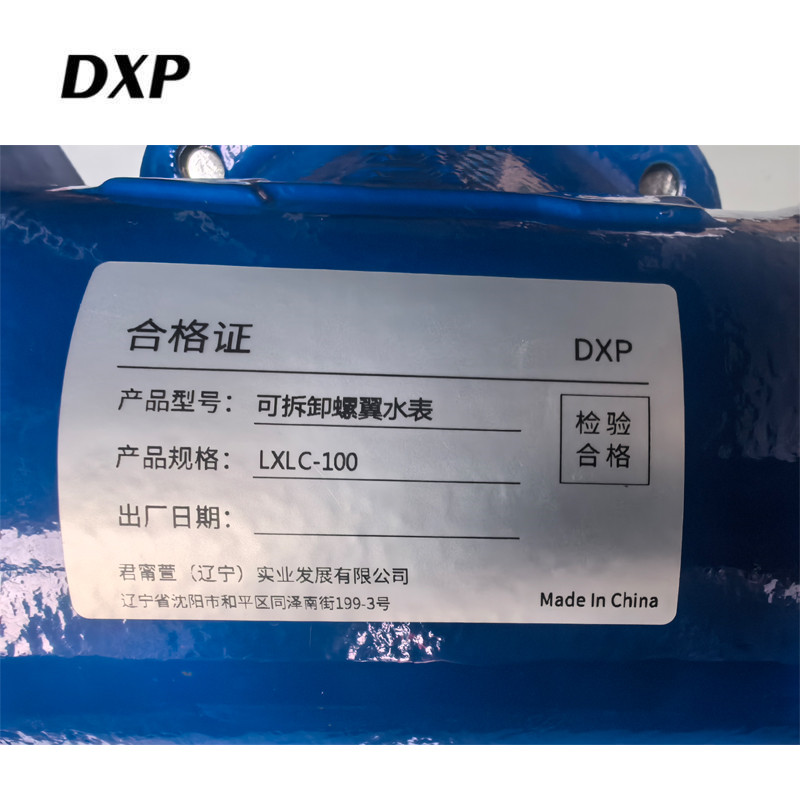 DXP 可拆卸螺翼水表 LXLC-100 块高清大图