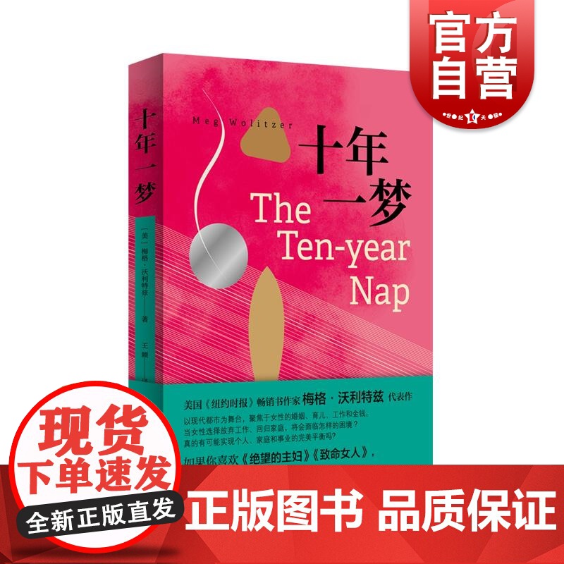 十年一梦 美梅格沃利特兹上海译文出版社职业女性欲望都市育儿金钱绝望的主妇婚姻家庭主妇女性