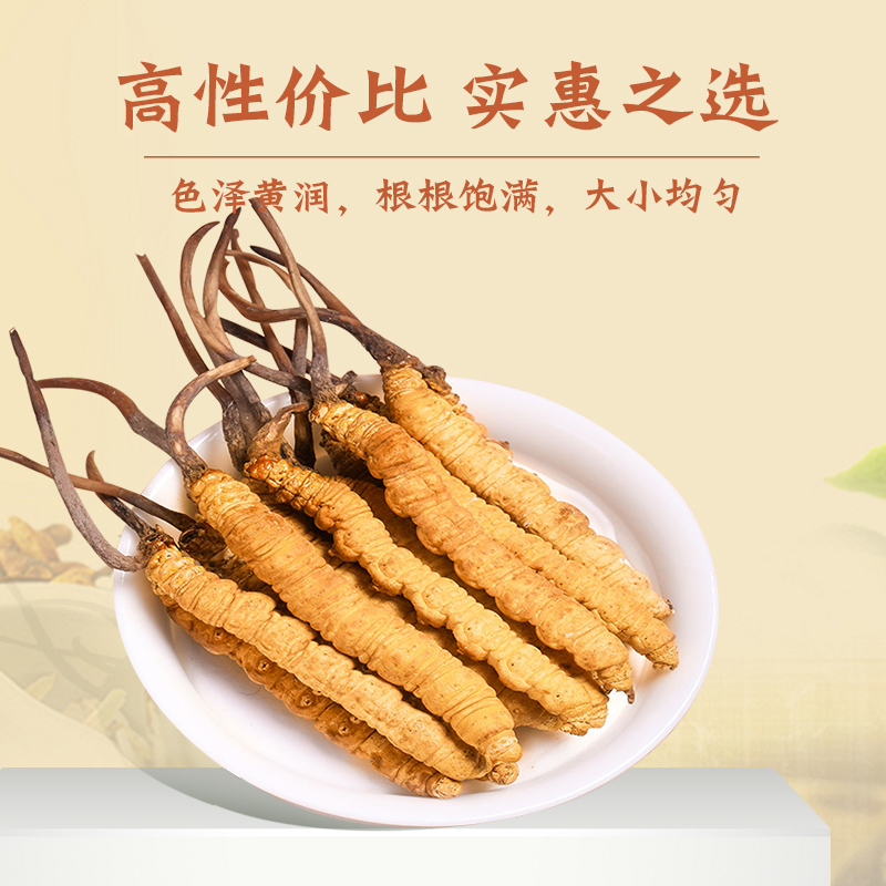 同雍堂冬虫夏草 虫草礼盒 3根/克 30根水晶管装 商务 送礼送父母长辈滋补品礼物 3根/克10克装
