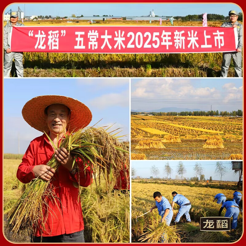 龙稻优质长粒大米非转基因绿色有机健康安全食品高清大图