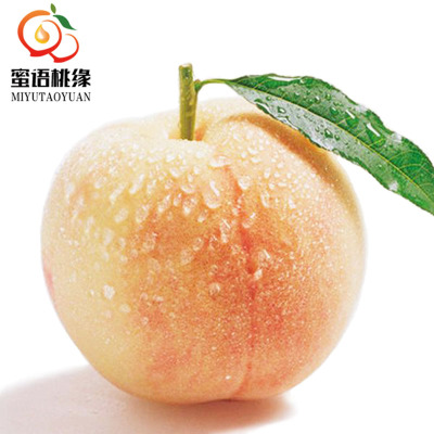 阳山水蜜桃5两12个