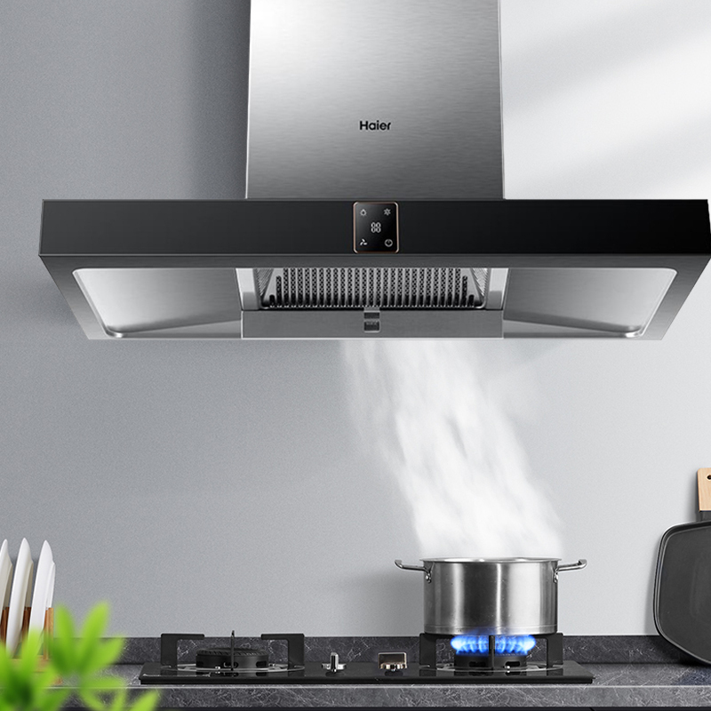 Haier/海尔欧式抽油烟机20立方大风量 深腔拢烟吸油烟机CXW-219-T810SN