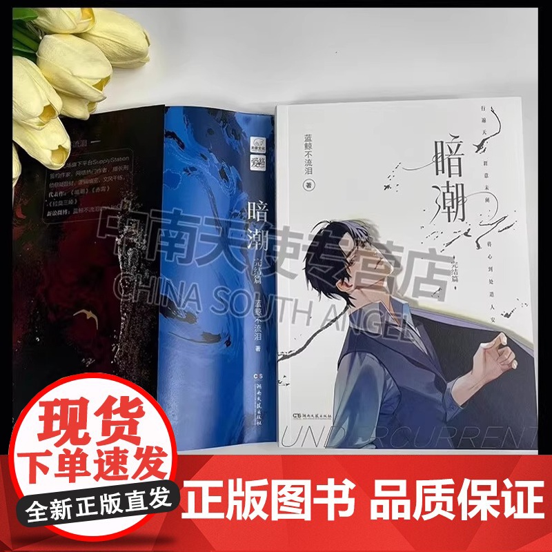 暗潮1+2完结篇 共2册 正版新书 实力作家蓝鲸不流 泪精彩绝伦的刑侦悬疑都市 双男主强强小说实体书网络原名《穿山》高清大图