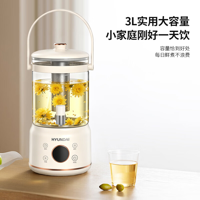 HYUNDAI液体加热器(养生壶)ASH-10AY05A高清大图