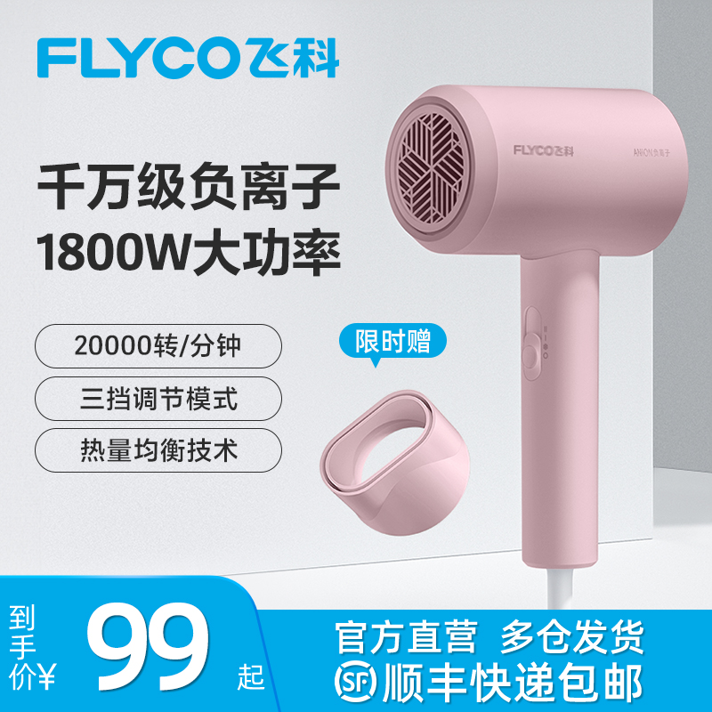 飞科(FLYCO)电吹风FH6291