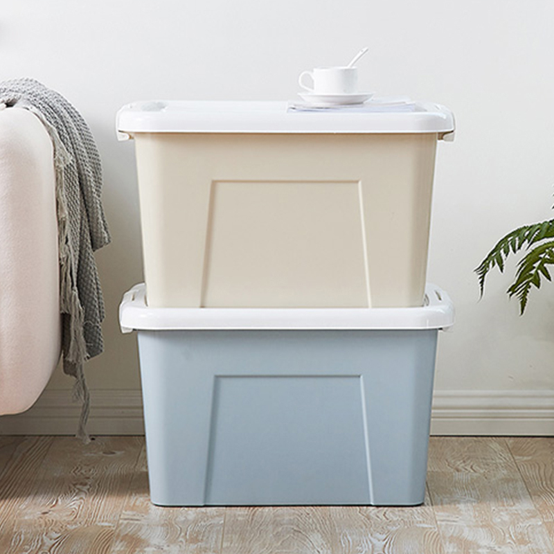 龙士达 炫彩55L整理箱(电商) DLJ-0016(DS)高清大图