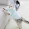猫咪衣服防掉毛布偶猫幼猫秋冬小奶猫无毛猫小猫可爱猫猫秋装 薄款黄边小吊带 S:胸围30-35cm(建议约3-5