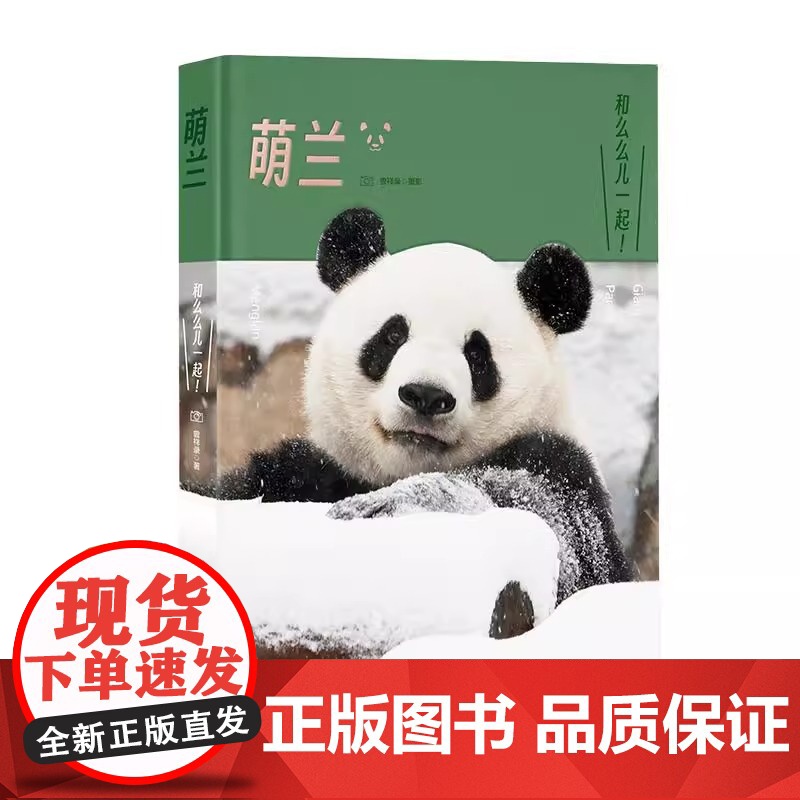 萌兰 熊猫 曾祥录 巴顿洛洛近2000天跟拍 全景式记录萌兰2-8岁成长历程 大熊猫类型题材正版书籍高清大图