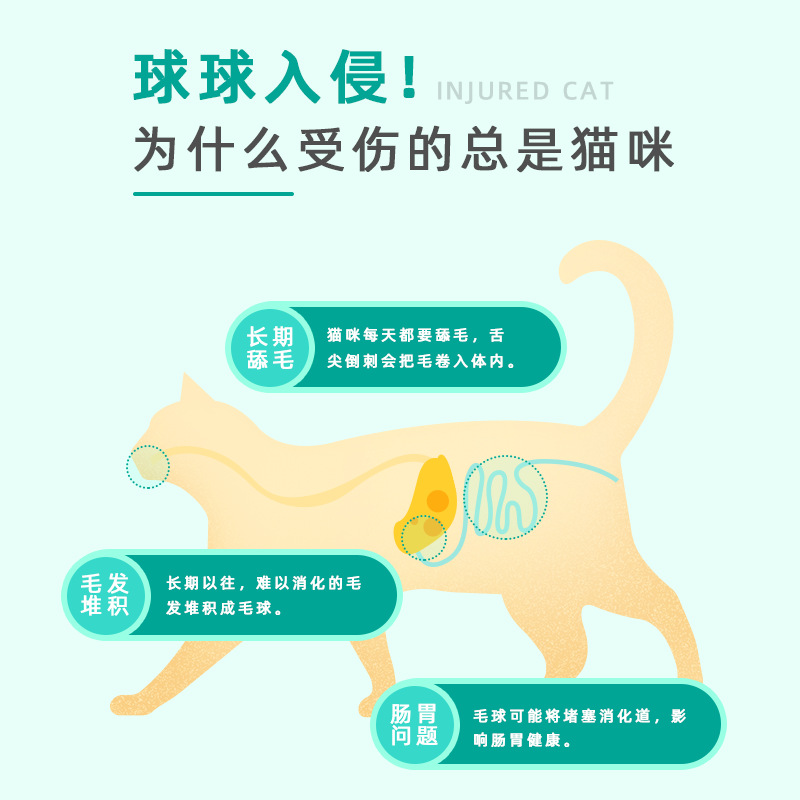 新宠之康 猫草化毛片60g高清大图