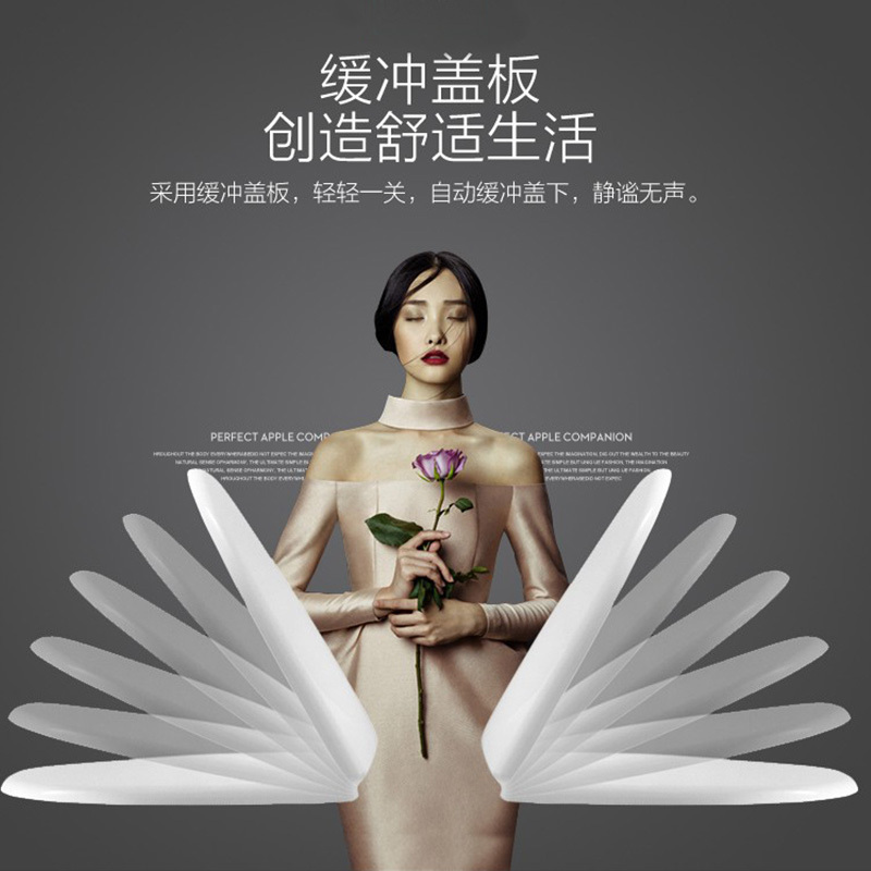 法恩莎马桶 直冲简易拆卸缓降盖板连体坐便 金马桶节水座便器 FB16109