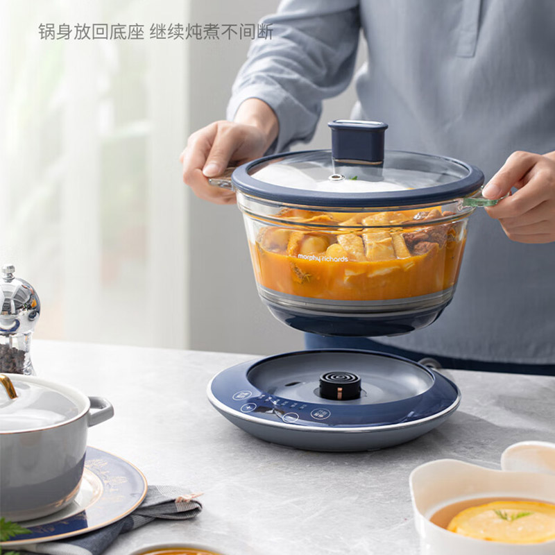 摩飞电器电炖锅 隔水炖锅 家用燕窝炖盅炖汤电煮锅煮粥锅电炖盅 预约定时婴儿辅食料理锅 MR9081