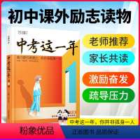 ★[陪伴篇]情感认同·缓解情感矛盾 初中通用 [正版]中考这一年初中学生青春励志书籍书高效学习方法青少年成长故事好书