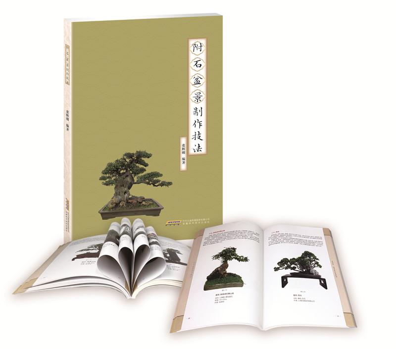 [正版]附石盆景制作技法 盆景艺术基础 盆景制作教程大全 盆景制作培训技法入门 盆景养护欣赏大全 安徽科学技术出版社高清大图
