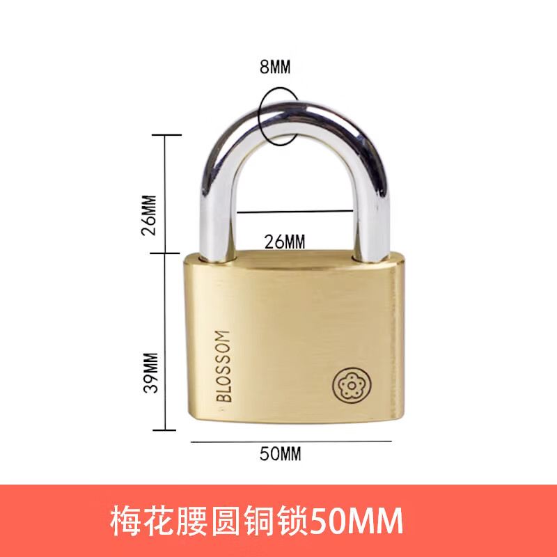具岩 门锁通用型大门家用仿铜小锁头防盗防撬橱柜挂锁 75MM(计价单位:把)高清大图