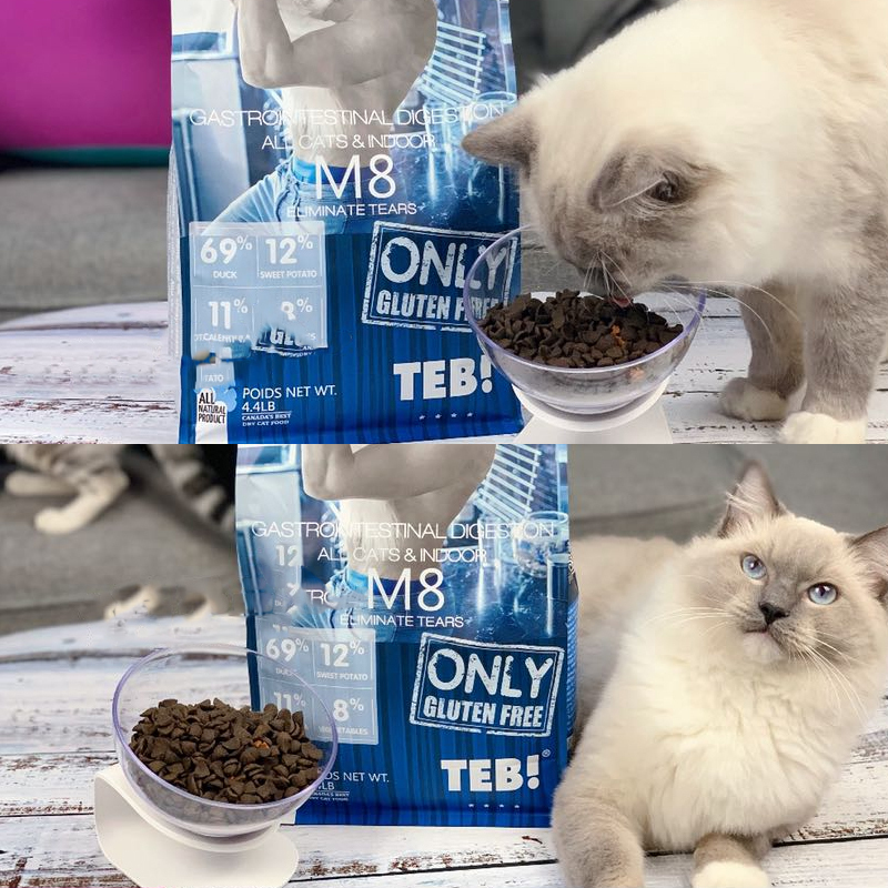 TEB!汤恩贝猫粮M8全猫种成猫幼猫通用猫干粮4.4磅2kg高清大图