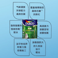 多乐士(Dulux) 致悦竹炭抗甲醛无添加全效内墙乳胶漆 墙面漆油漆涂料 A740 5L哑光白色