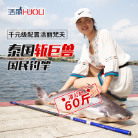 活丽梵天 鱼竿手竿超轻超硬钓鱼竿鲫鱼竿鲤鱼竿28调