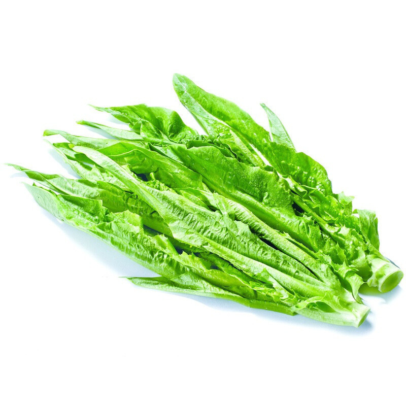 农聚源油麦菜1斤莜麦菜苦菜牛俐生菜新鲜蔬菜as