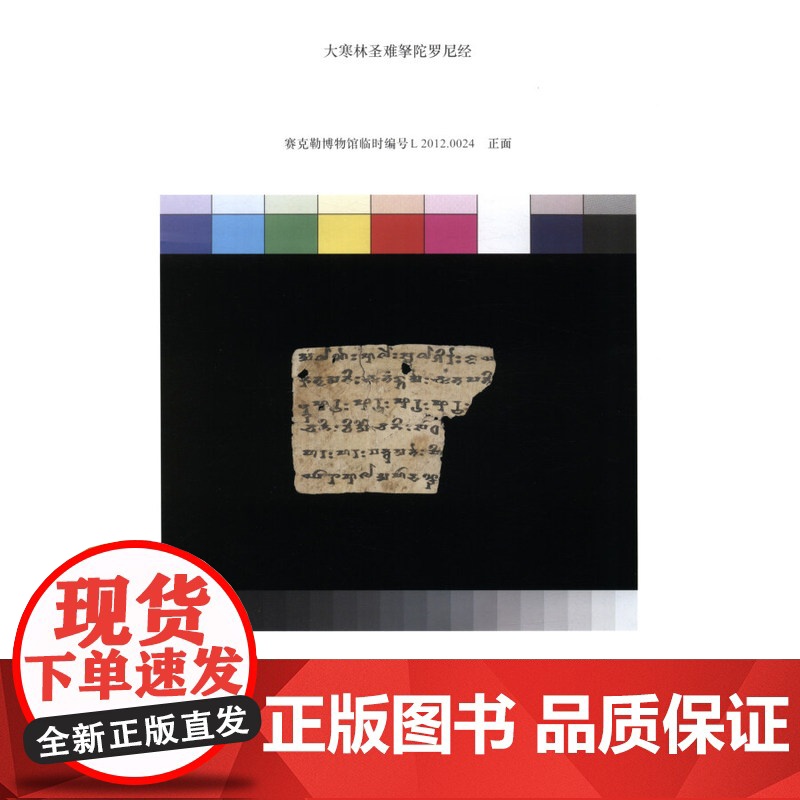北京大学赛克勒考古与艺术博物馆藏梵文文书 非汉语类遗存新疆和田地区释读与研究萨尔吉佛教史梵文贝叶经写本中古译经 中西书局高清大图