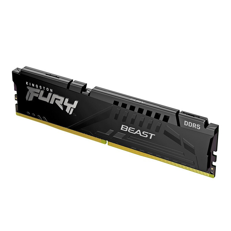 金士顿 (Kingston) FURY台式机内存条 Beast野兽系列 DDR5 6000 16GB骇客神条
