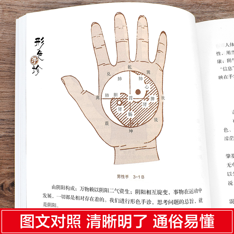 [正版]4册手诊面诊舌诊足诊一本大全辩证图解临床图谱中医基础理论新诊断手一学就会入门到精通望闻问切家庭健康保健罗大伦