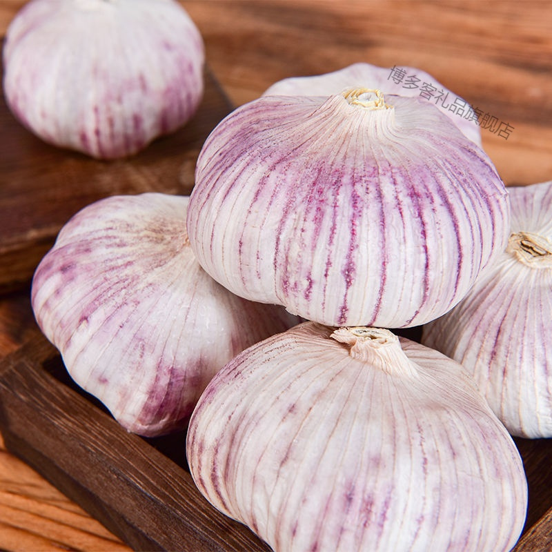 湛航山东紫皮大蒜大蒜头批发干蒜头干大蒜农家蒜头新鲜新干蒜