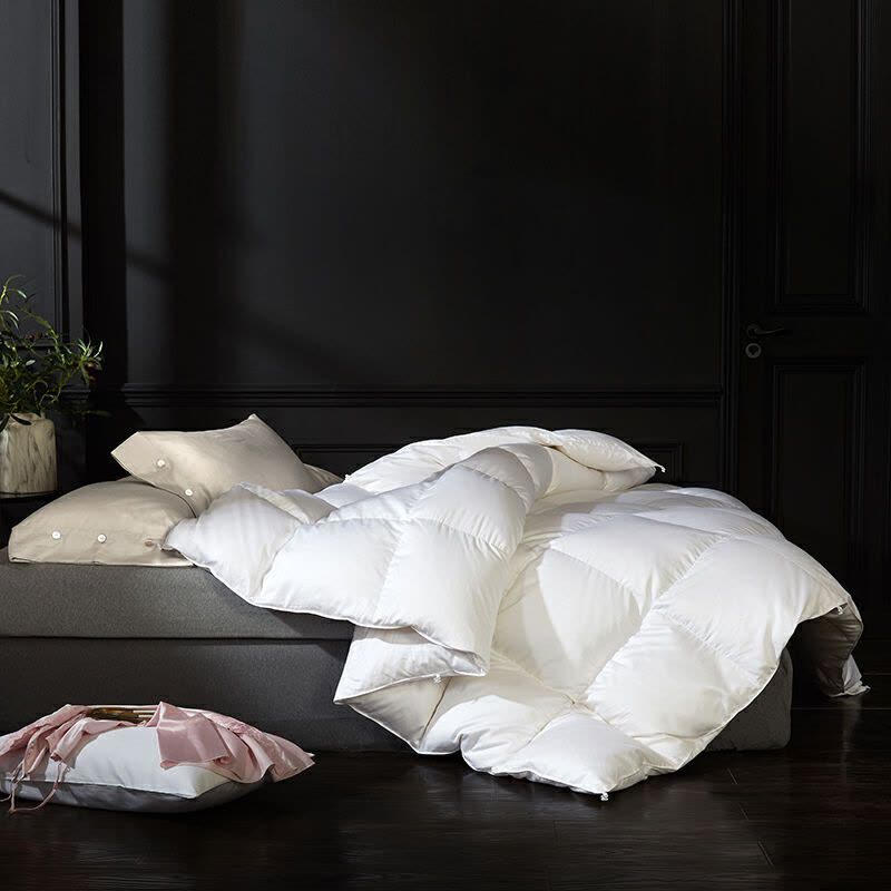 伊伊爱CQB-9XWB-001纯色春秋被空调被150*200cm 魅力白图片