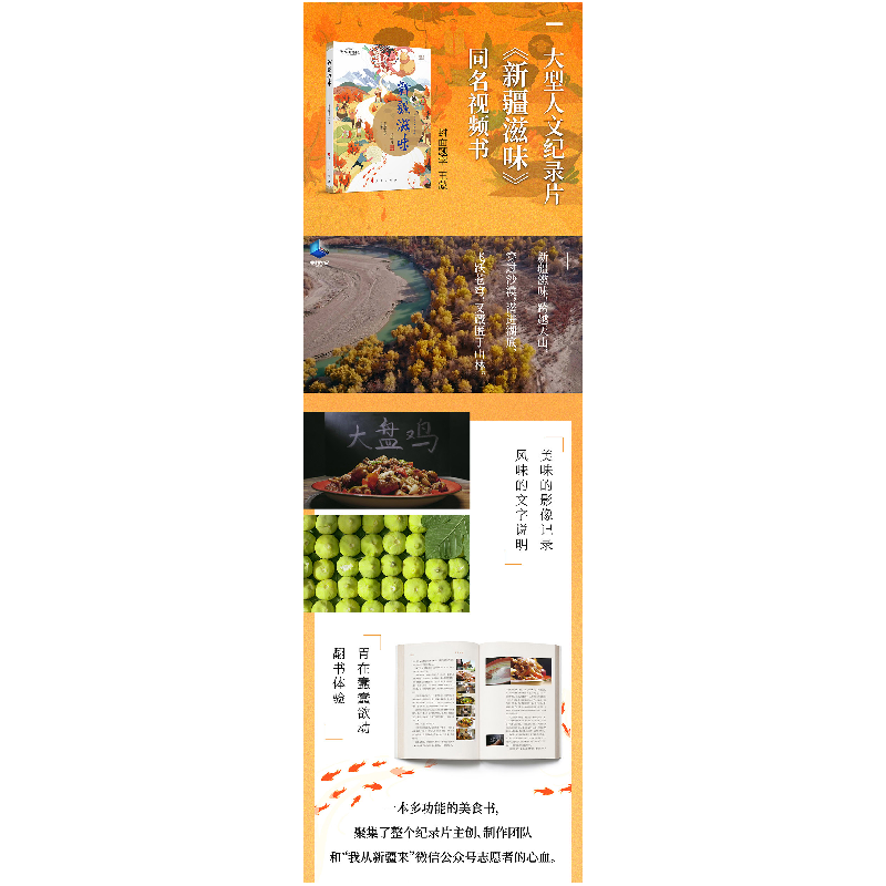 正版 新疆滋味(视频书) 库尔班江·赛买提主编 人民出版社 9787010高清大图