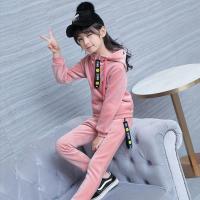 女童春装金丝绒套装2018新款中大童装卫衣春秋季儿童运动服两件套_2_2 160码适合身高150cm 粉色金丝绒（双层加绒加厚质量超级好）