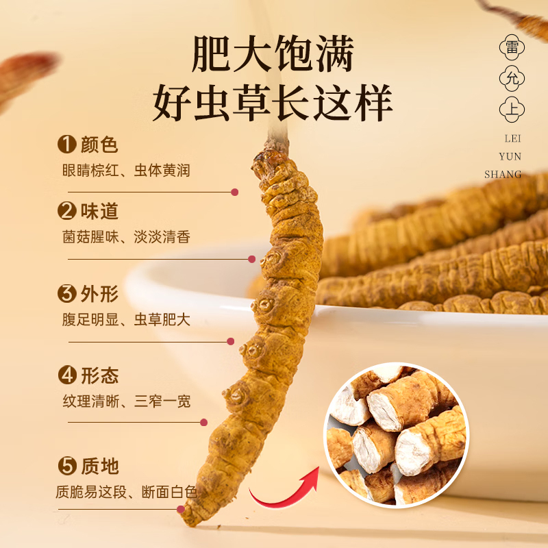 雷允上冬虫夏草礼盒冻干虫体饱满10g