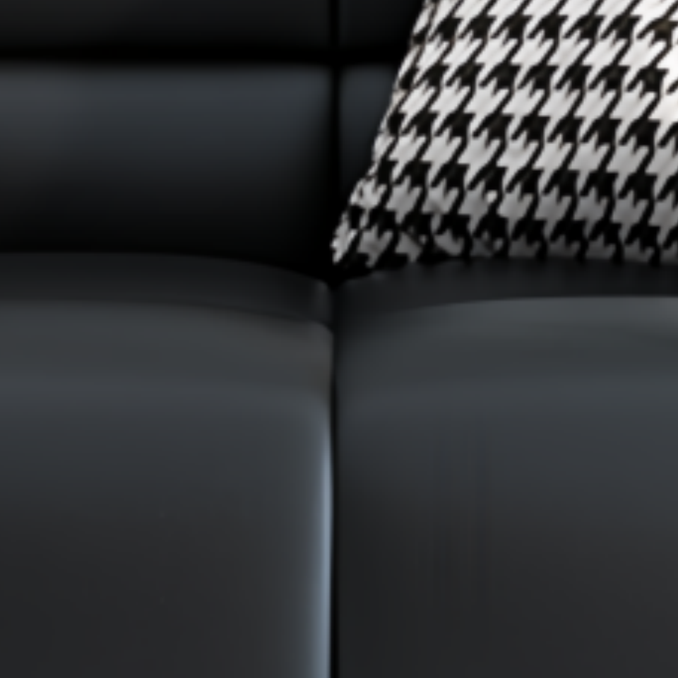 乐琪艺沙发 西皮张高清大图