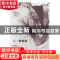 正版 十一种想象 邱华栋著 江苏凤凰文艺出版社 9787559405272 书