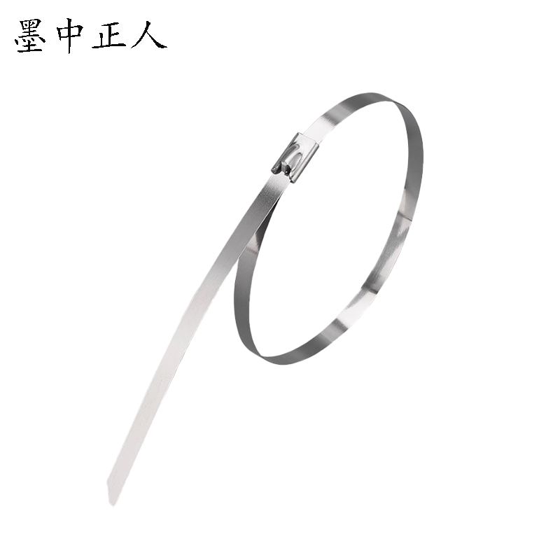 墨中正人不锈钢扎带zd1400根高清大图